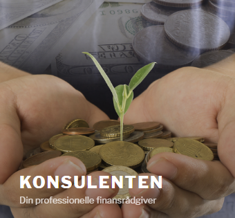 websted konsultenten org